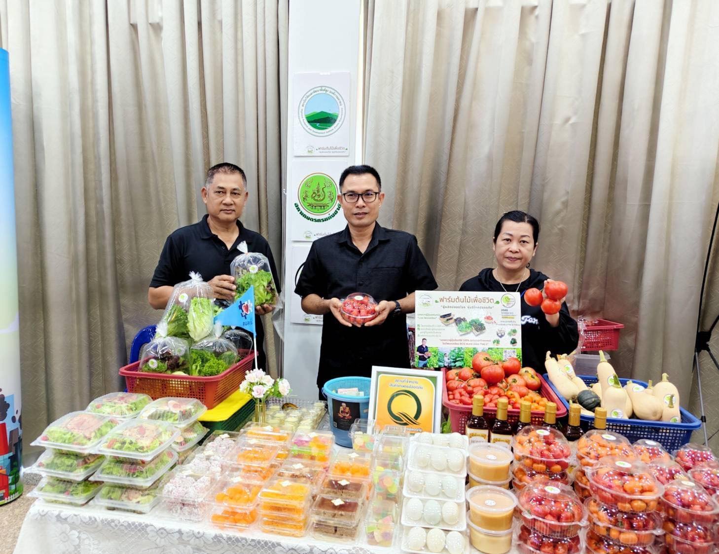 การประชุมระดมความคิดเห็น ผู้ประกอบการเกษตรอินทรีย์ของจังหวัดเพชรบูรณ์ เพื่อเพิ่มความสามารถในการประกอบการ - รูปภาพ 7